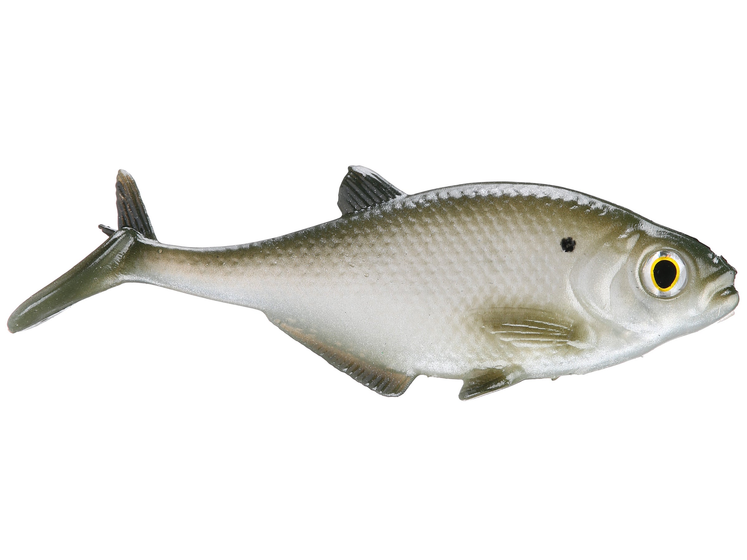 SmashTech Baits Gizzard Shad Line Thru Swimbaits 7" Tackle Warehouse