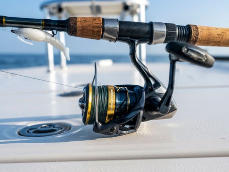 Shimano Fishing Spheros Sw Extra High Gear Spinning Reel Black 3000 Shimano Fishing Spheros Sw Extra High Gear Spinning Reel Black 3000