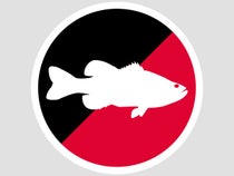 Tackle Warehouse Circlefish Stickers