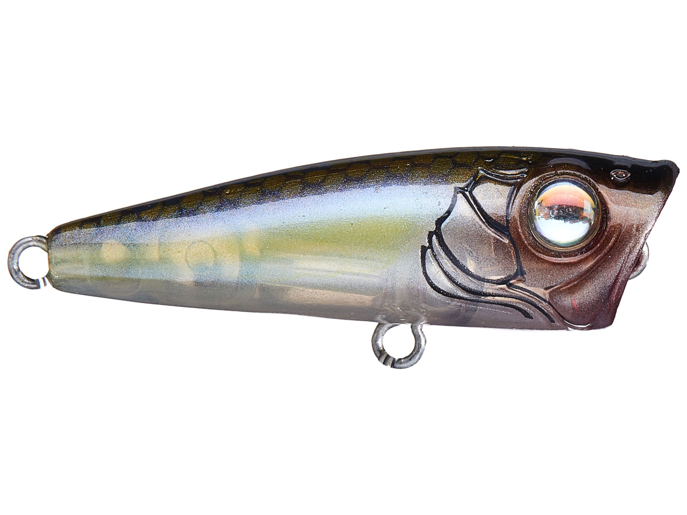 Leurre Dur Popper Rapture CORSARO 14 Cm 40 G – Leurre De Surface Pour Pêche Au Spinning