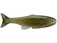 West Coast Baits Roma Trout Swimbaits