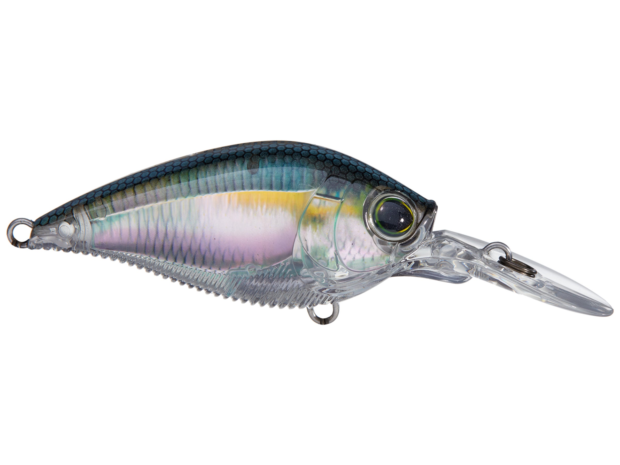 Leurre Yo Zuri Duel 3DB 1.5 MR – Crankbait Flottant 60 Mm, Pour Truite, R1353-PCPC
