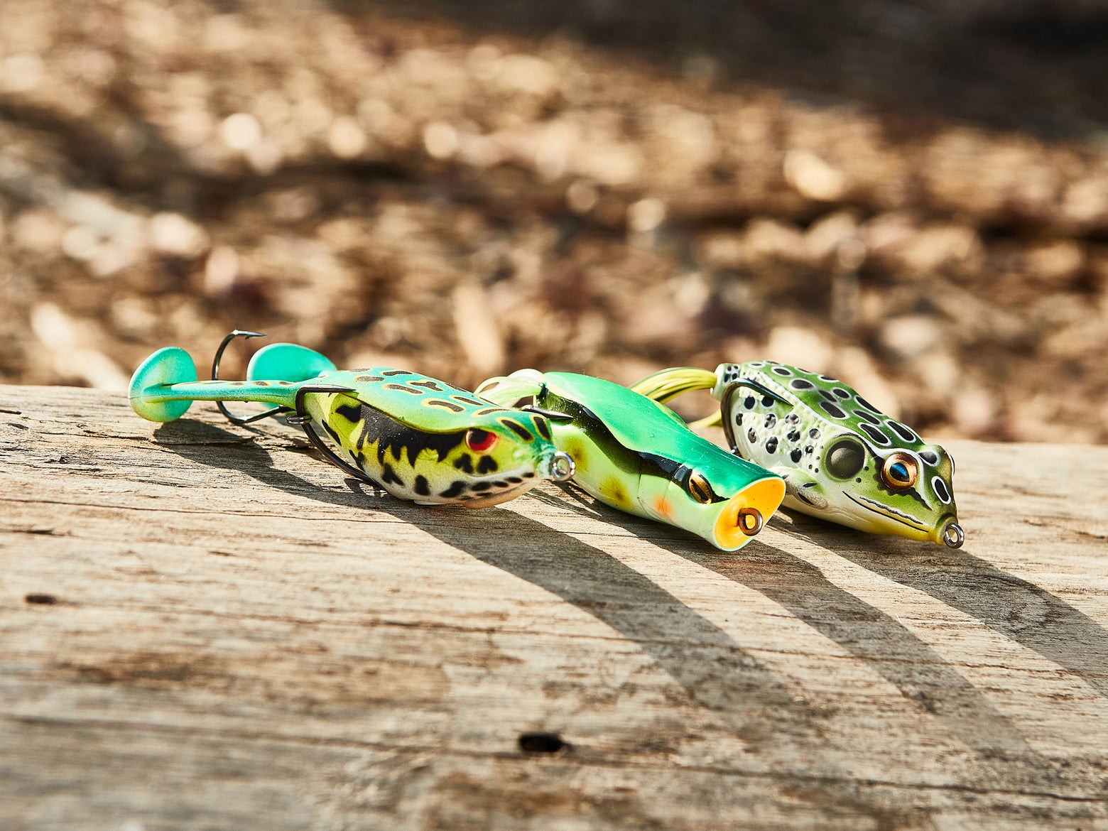 Hollow Body Frog Gear Guide