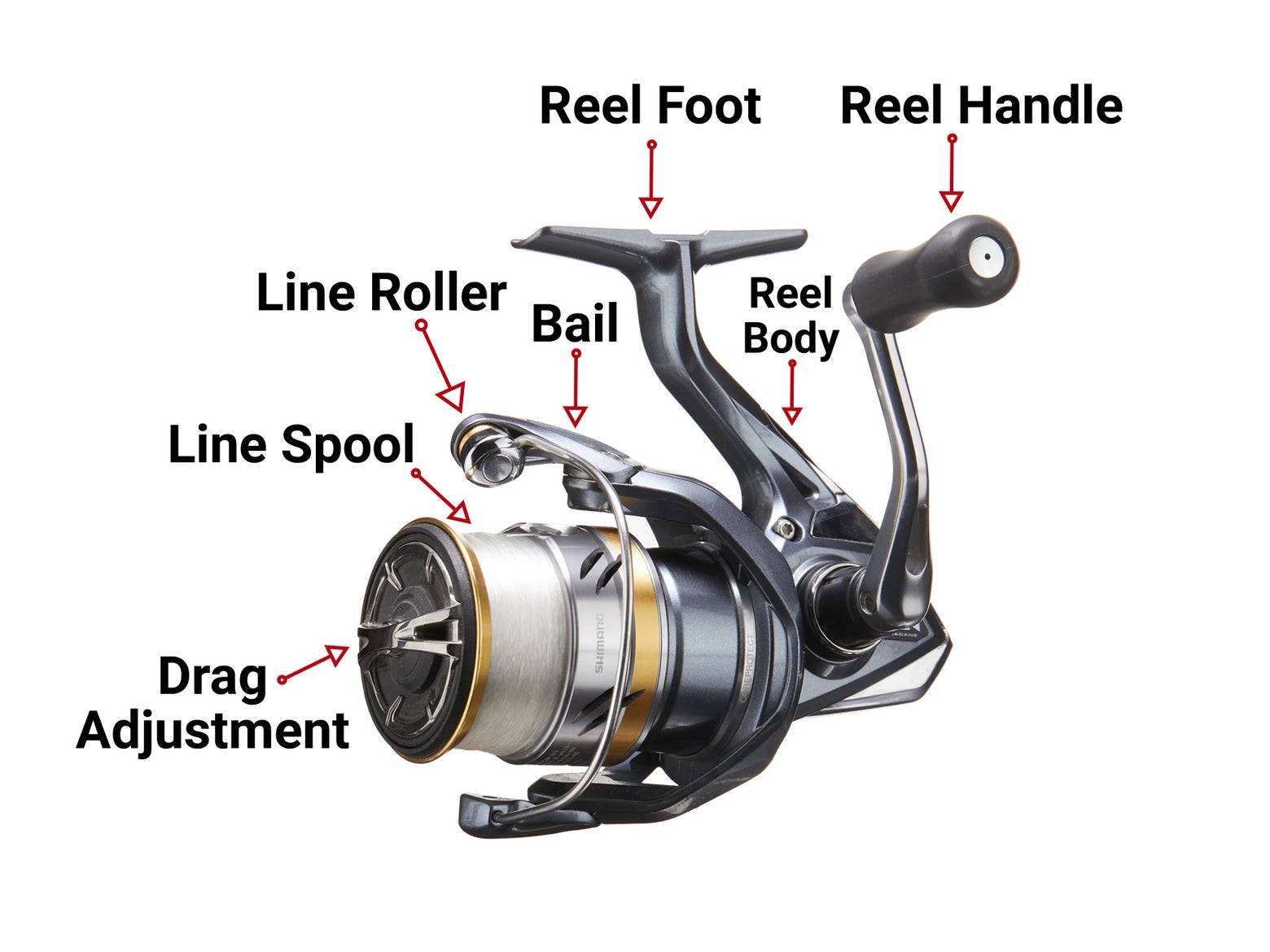 How-to Choose Your First Reel | Tackle Warehouse