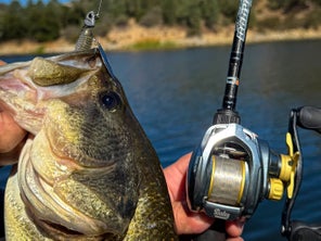 Bates Hundo LTS Reel with bass