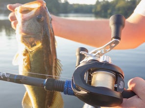 The Bates Goat SWM 200 behind held up next to a caught largemouth bass of about three pounds.
