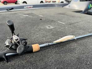 Fenwick Elite Rods Review