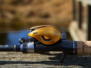 Side shot of the Lew's Custom Pro Gen 3 casting reel while mounted on a Dobyns rod showing the outer side plate with a couple minor scuffs.