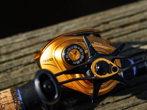 Closeup showing the Lew's Custom Pro Gen 3 casting reel's Speed Dial line test indication tension knob, star drag, handle, and inner side plate. 