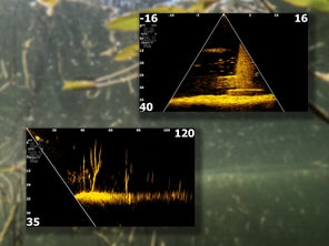 compilation image of Lowrance's Live Down and Live Forward Imaging Types