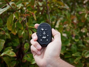 Wireless Remote