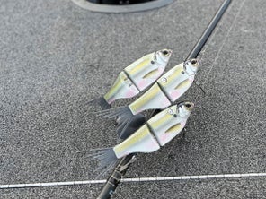 Close-up Image of Spro KGB Chad Shad Glide Bait