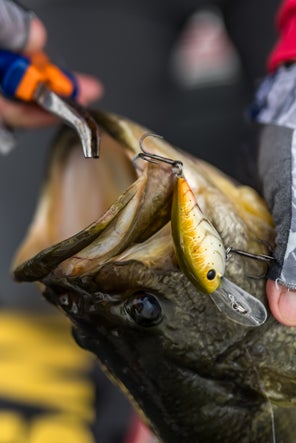 A crawdad-colored Strike King Gravel Dawg crankbait hooked to the corner of the mouth of a largemouth bass.