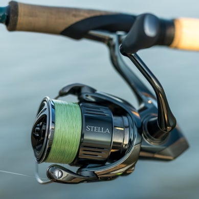 Best New Bass Fishing Reels