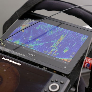 Best New Bass Fishing Graphs, Trolling Motors & More