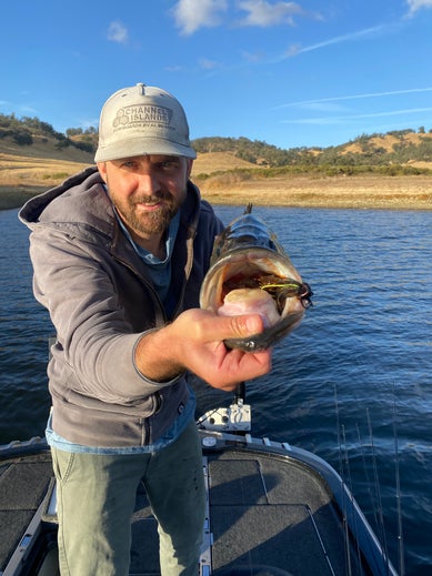 Berkley Powerbait Jig Down the Hatch