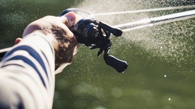 Best New Bass Fishing Reels