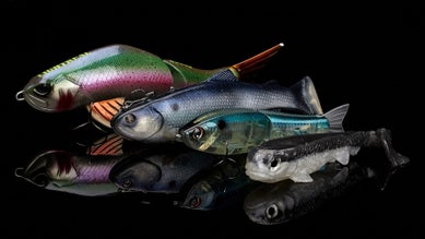 Best New Bass Fishing Swimbaits, Frog Baits & Topwater Baits