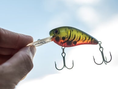 Best New Bass Fishing Crankbaits, Jigs, Spinnerbaits & More
