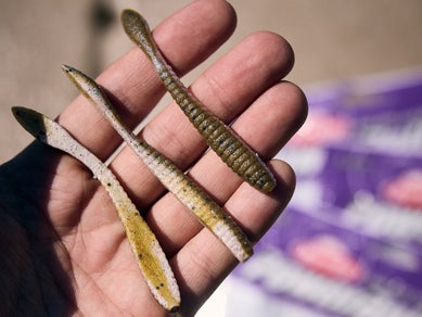 Best New Bass Fishing Worms, Craws, Creatures & More
