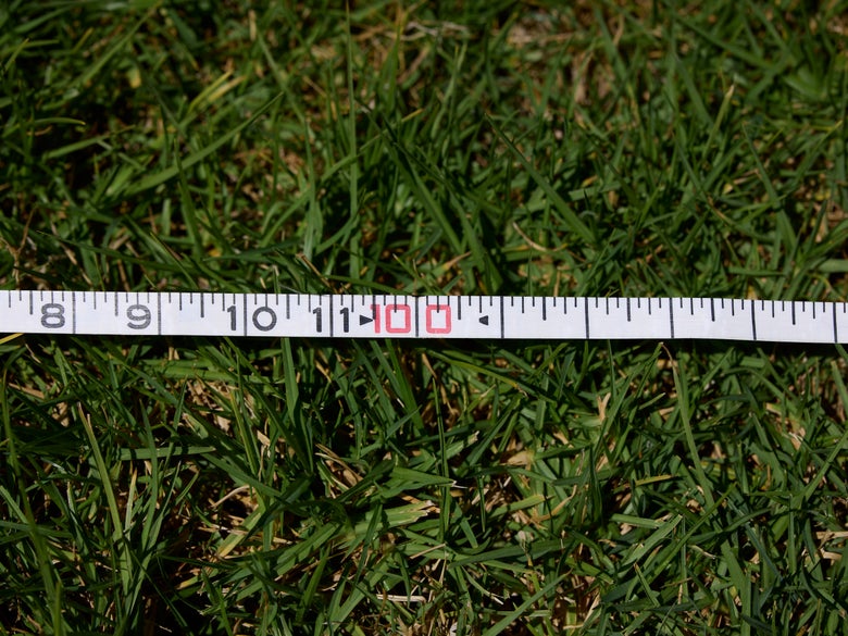 Image of tape measurer in the grass at 100'