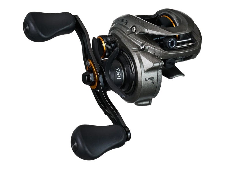 A Lew's Accel RX Casting Reel shown against white space