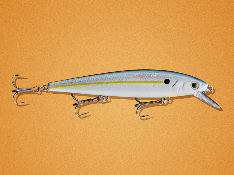 Image of Sexy Shad Jerkbait