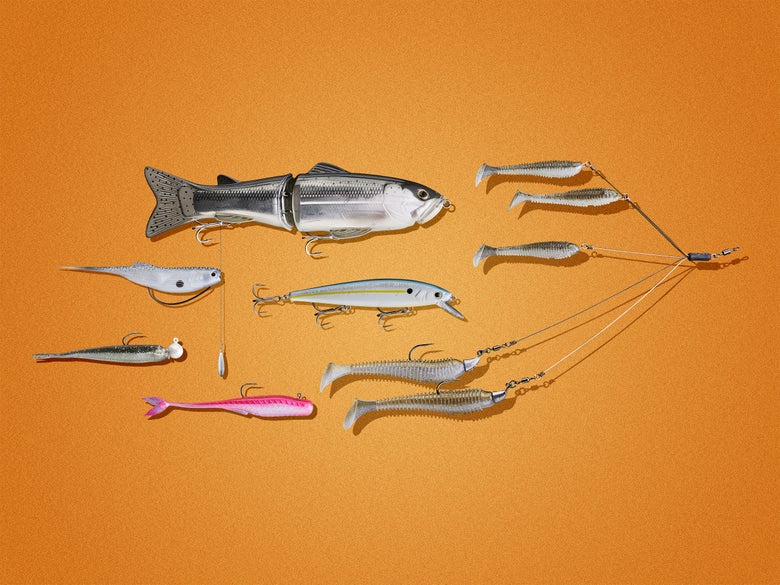 Best ForwardFacing Sonar Baits