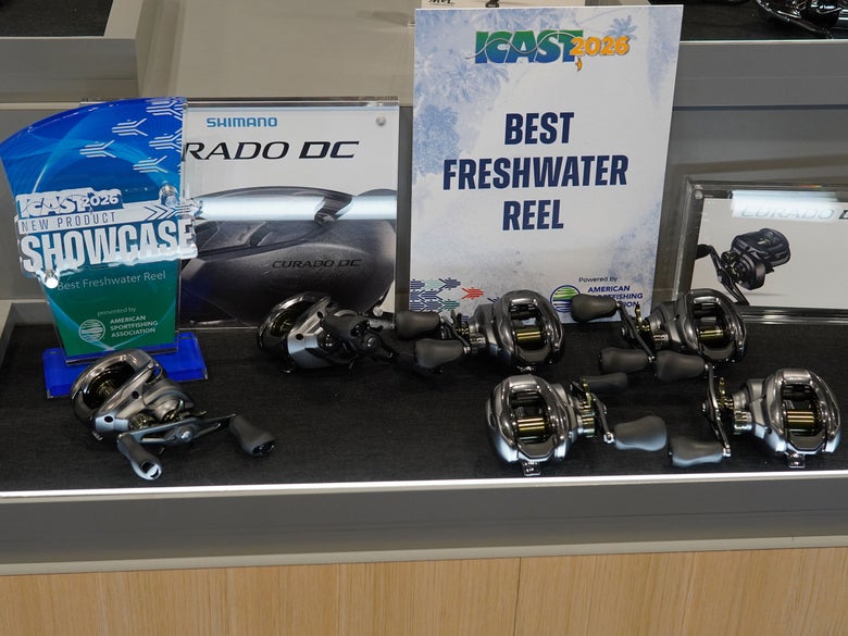 Shimano Curado 150 DC Casting Reel