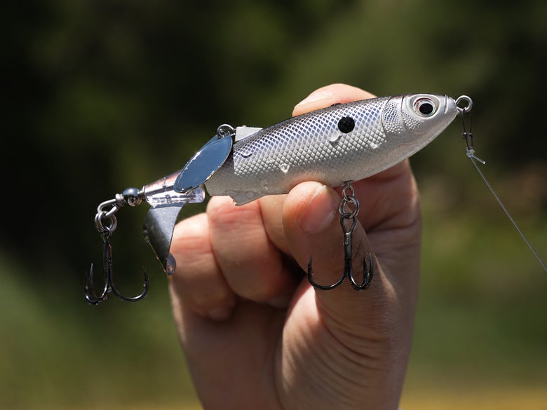 rapala claptail in hand