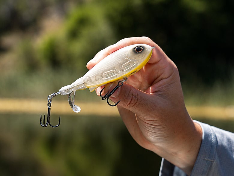 Berkley screamin' choppo topwater in hand