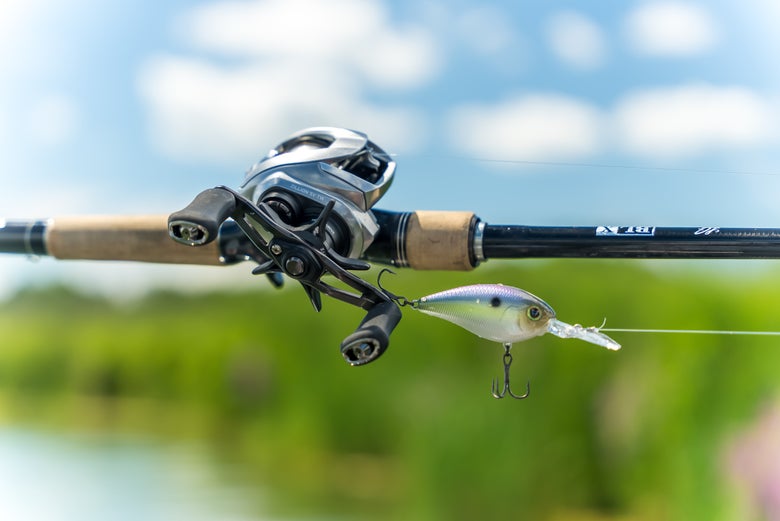 Daiwa Zillion Coastal baitcaster fishing reel review