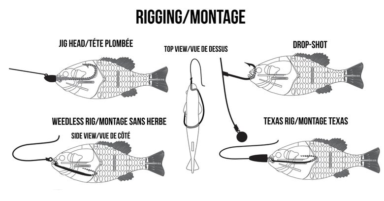 Berkley Gilly Profile and Rigging Options Graphic