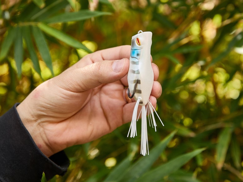 The Jackall Gavacho Frog being held up with foliage in the background