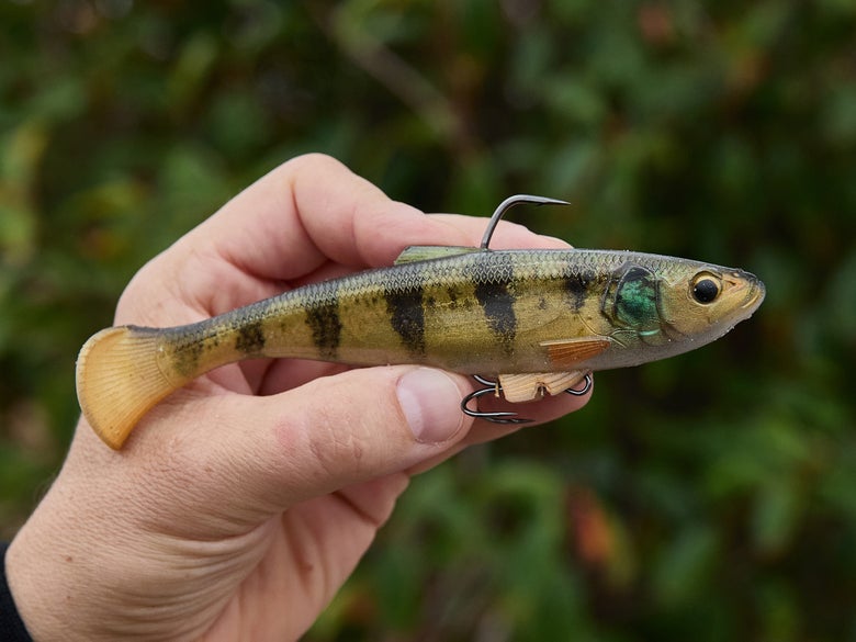 A hand holding up the 6-inch Z-Man Swag LT swimbait in the yellow perch color shown with a single top hook and dual-pronged belly hook.