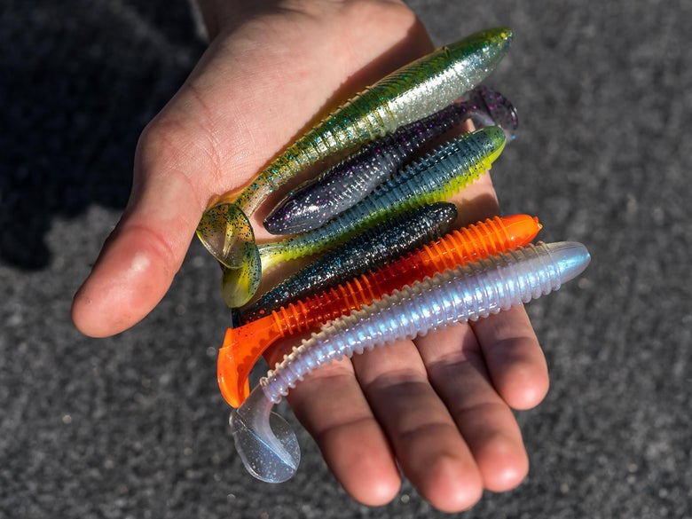 Paddletail swimbaits in hand
