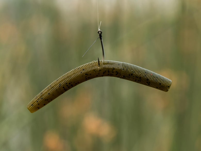 A wacky rig close up
