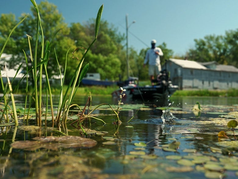 Justin Lucas flipping a chigger craw into cover