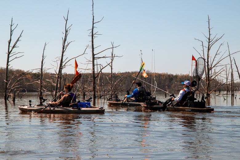 Three Kayak Anglers Paddling