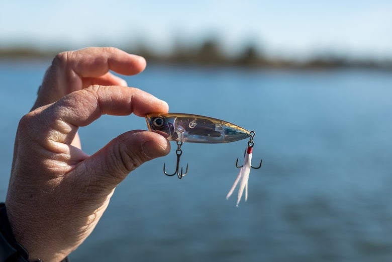 Topwater popper in hand