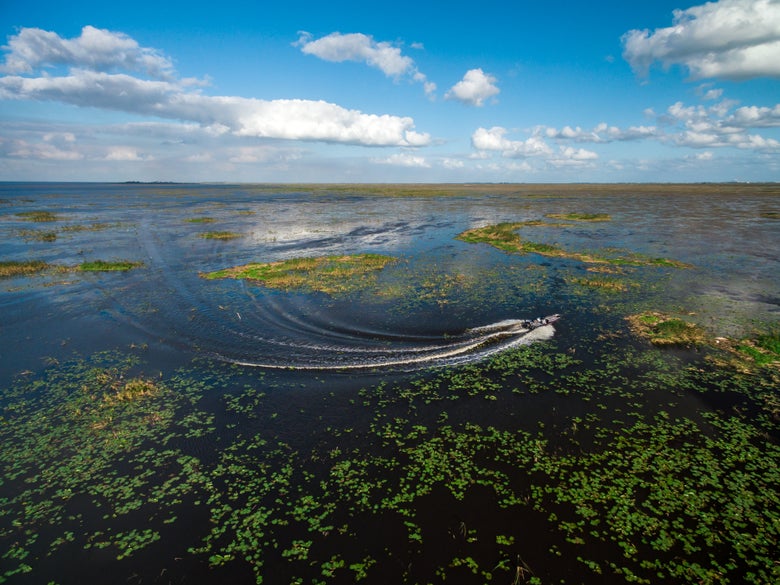 Boat Driving Through Mats and Vegetation