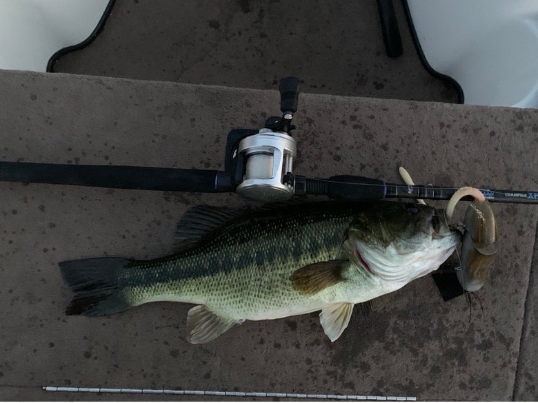 Rat Bass on boat deck