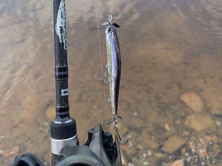 Image of a spybait laying on the side of a plump spotted bass