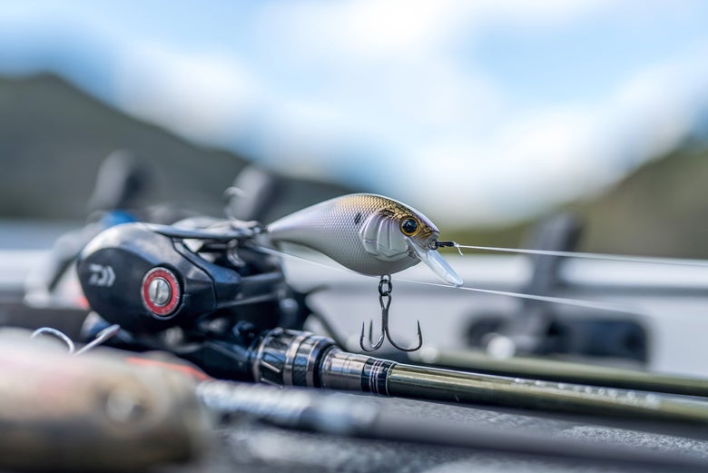 Squarebill Rod on boat deck