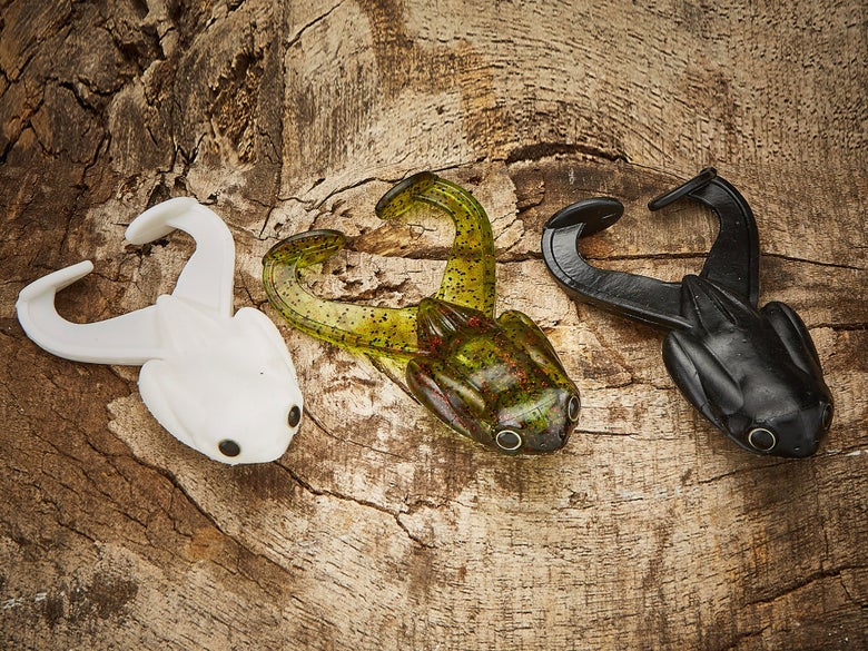 Popular Toad Color Options