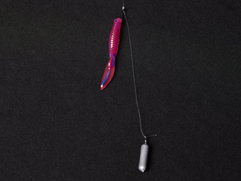Drop Shot Rig