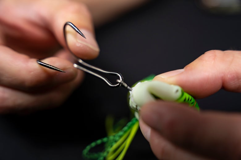 Exposing the hook harness of a hollow-body frog