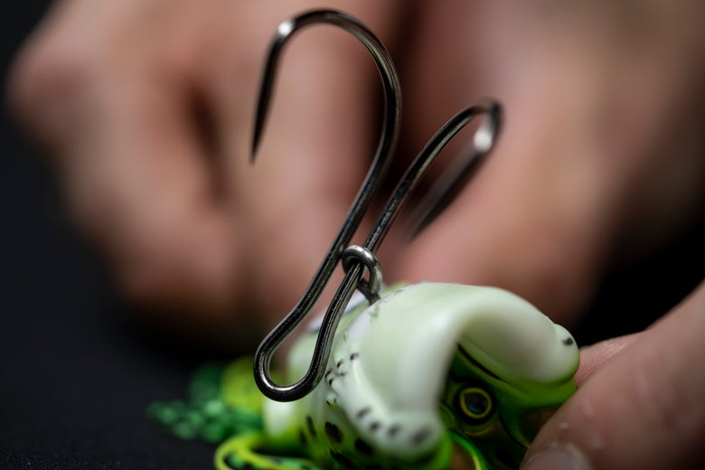 Removing the dual-pronged hook from a hollow-body frog