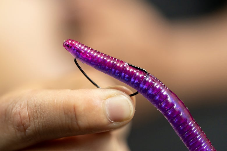 How-To Rig a Weedless Ned Rig