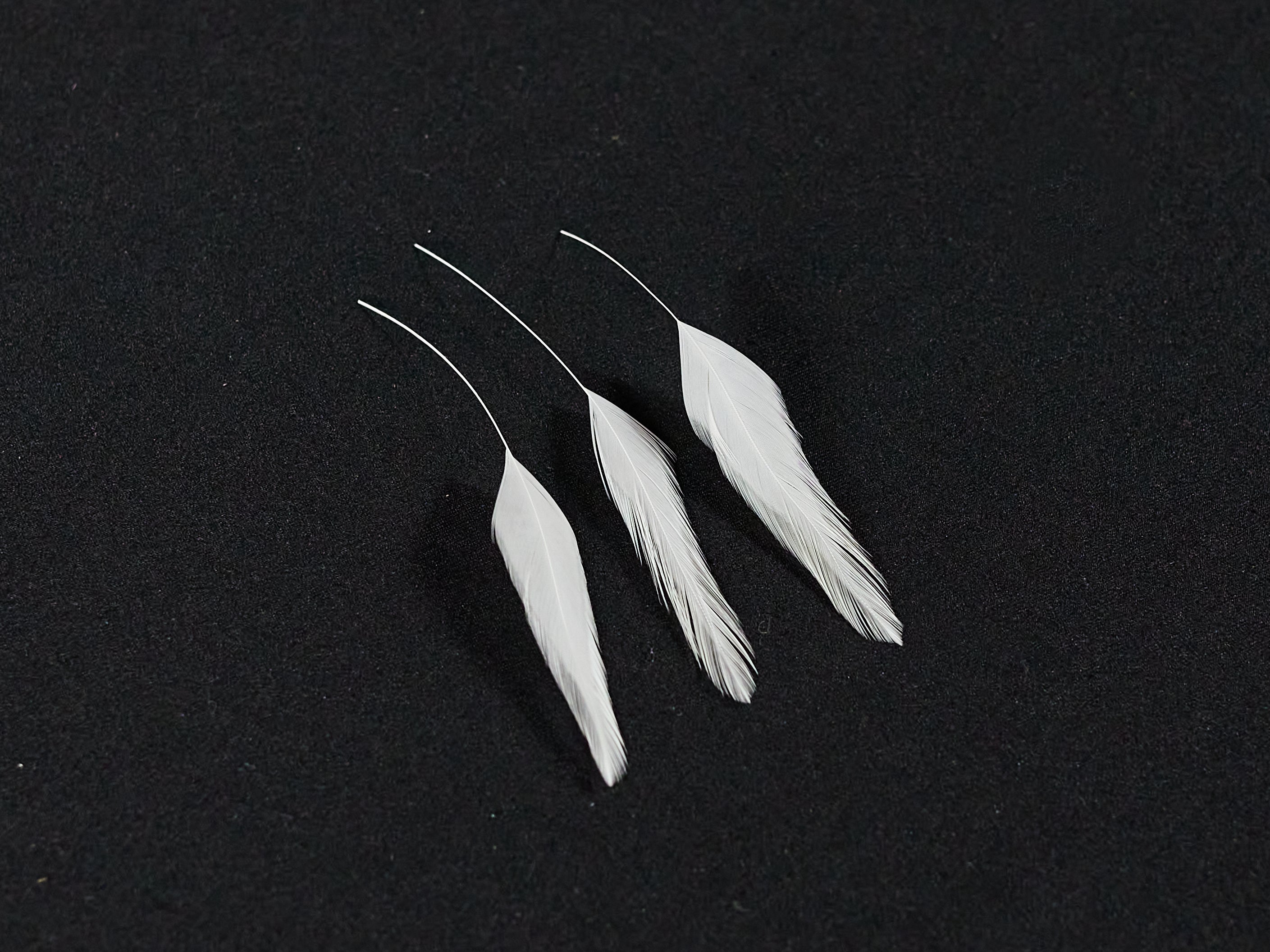 three cleaned feathers ready for tying